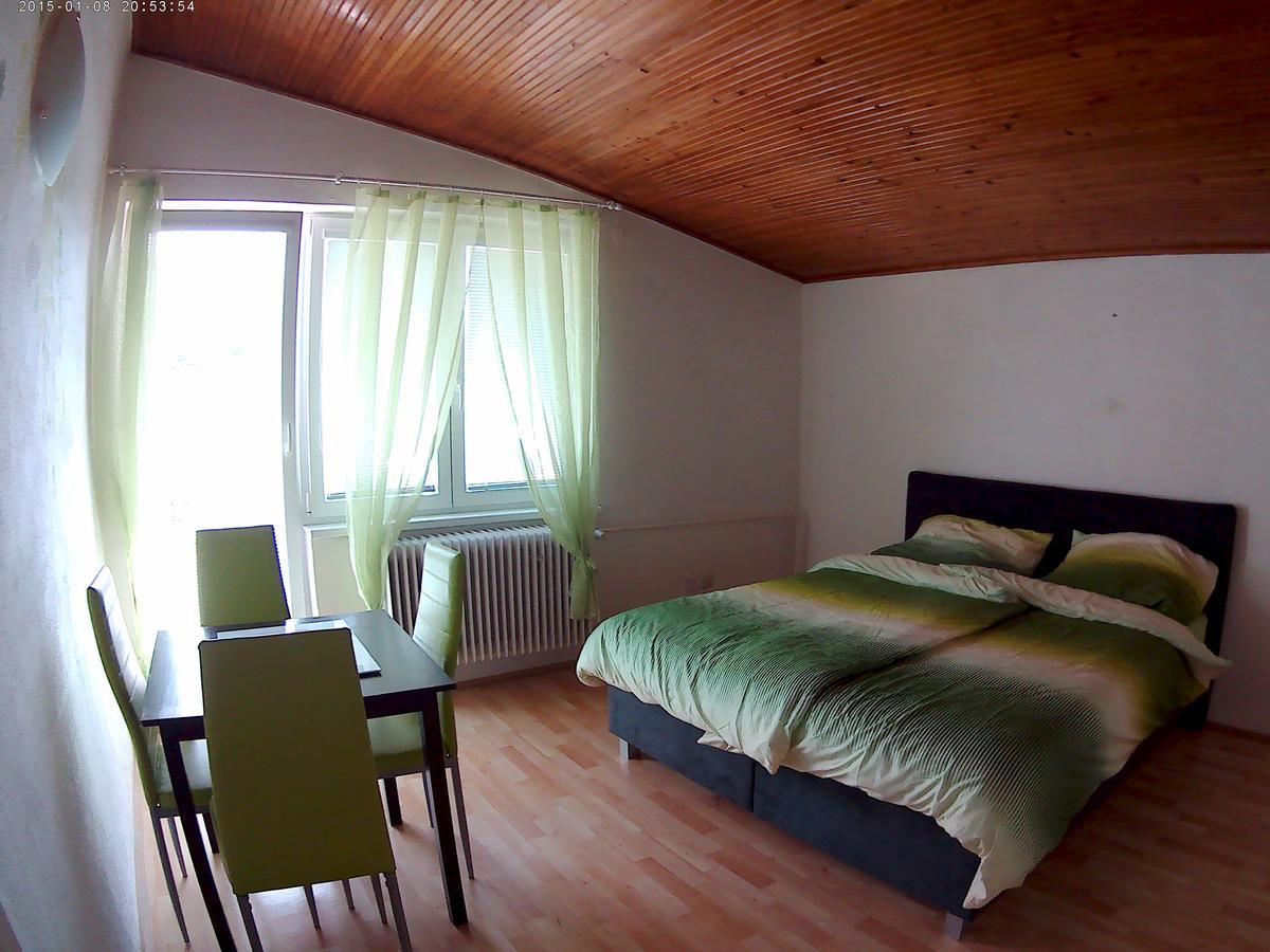 Český Krumlov Villa Davinci מראה חיצוני תמונה