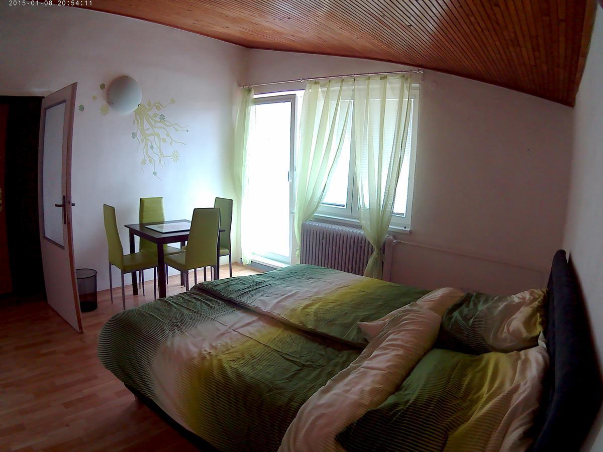 Český Krumlov Villa Davinci מראה חיצוני תמונה